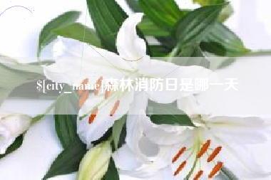 淄博森林消防日是哪一天