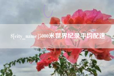 淄博5000米世界纪录平均配速