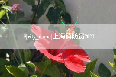 淄博上海消防员2021