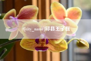 淄博邱县王子磊