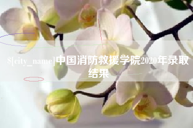 淄博中国消防救援学院2020年录取结果