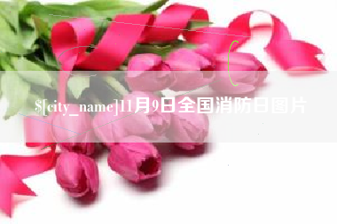 淄博11月9日全国消防日图片