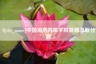淄博中国消防救援学院新疆录取分数