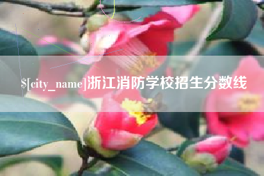 淄博浙江消防学校招生分数线