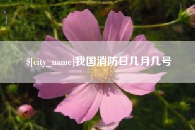 淄博我国消防日几月几号