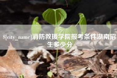 淄博消防救援学院报考条件湖南招生多少分