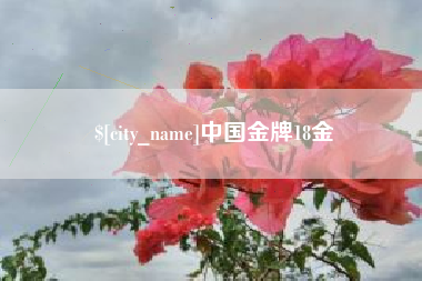 淄博中国金牌18金