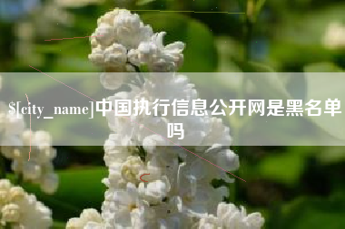 淄博中国执行信息公开网是黑名单吗