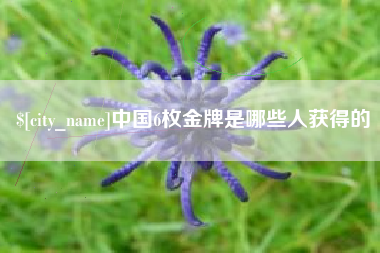 淄博中国6枚金牌是哪些人获得的