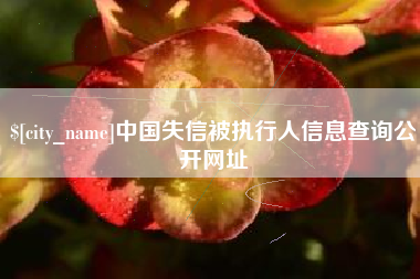 淄博中国失信被执行人信息查询公开网址