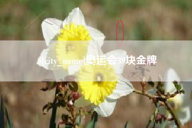 淄博奥运会39块金牌
