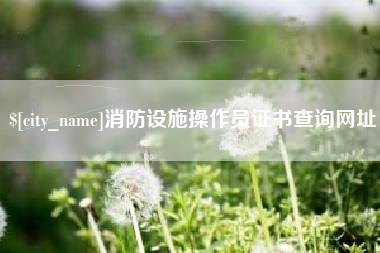 淄博消防设施操作员证书查询网址