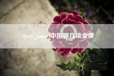 淄博中国哪几项金牌