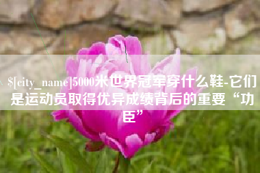 淄博5000米世界冠军穿什么鞋-它们是运动员取得优异成绩背后的重要“功臣”