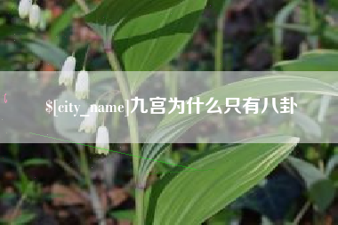 淄博九宫为什么只有八卦