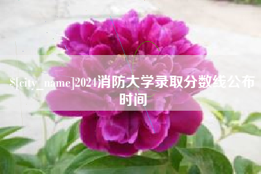 淄博2024消防大学录取分数线公布时间