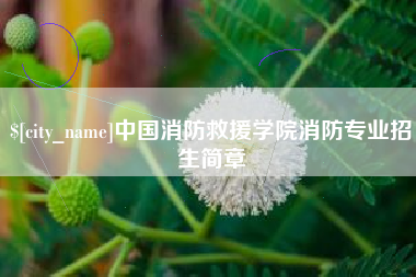 淄博中国消防救援学院消防专业招生简章