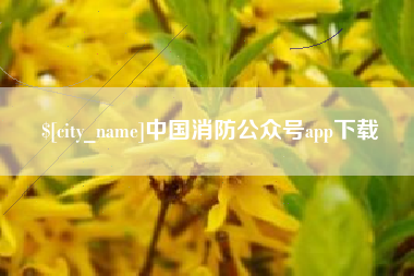 淄博中国消防公众号app下载