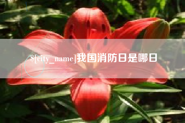 淄博我国消防日是哪日
