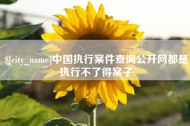 淄博中国执行案件查询公开网都是执行不了得案子