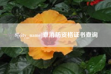 淄博查消防资格证书查询