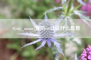 淄博消防ccc认证什么意思