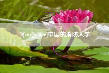 淄博中国的消防大学