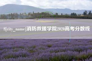 淄博消防救援学院2020高考分数线