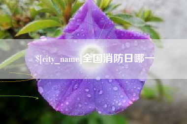 淄博全国消防日哪一