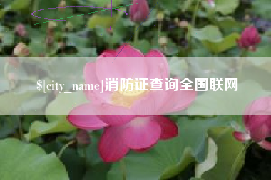 淄博消防证查询全国联网