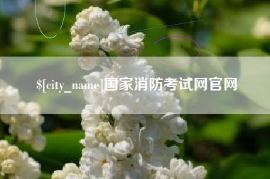 淄博国家消防考试网官网
