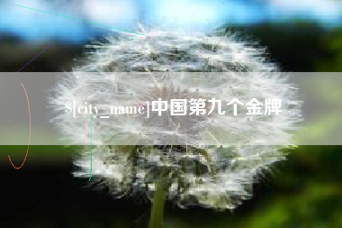 淄博中国第九个金牌