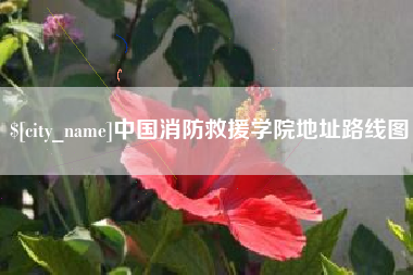 淄博中国消防救援学院地址路线图