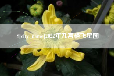 淄博2022年九宫格飞星图