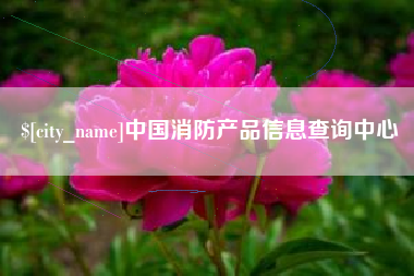 淄博中国消防产品信息查询中心