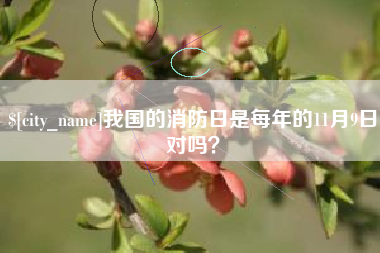 淄博我国的消防日是每年的11月9日对吗？