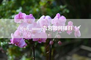 淄博九宫如何排日