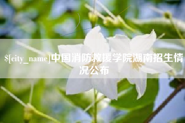 淄博中国消防救援学院湖南招生情况公布