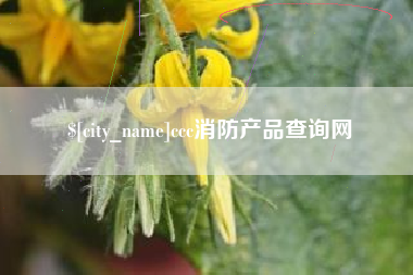 淄博ccc消防产品查询网