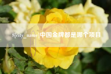 淄博中国金牌都是哪个项目