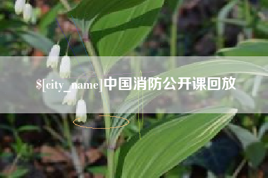 淄博中国消防公开课回放
