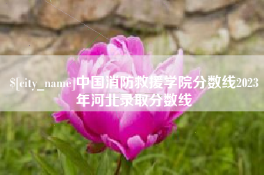 淄博中国消防救援学院分数线2023年河北录取分数线