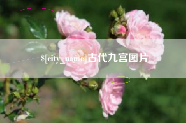 淄博古代九宫图片