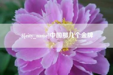 淄博中国那几个金牌