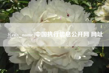 淄博中国执行信息公开网 网址