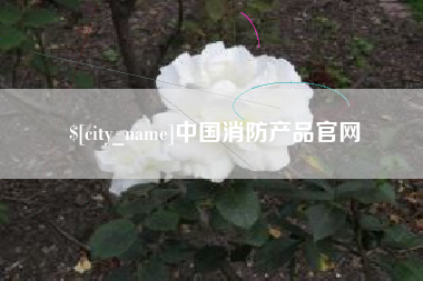淄博中国消防产品官网