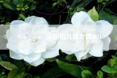 淄博中国的几块金牌2021