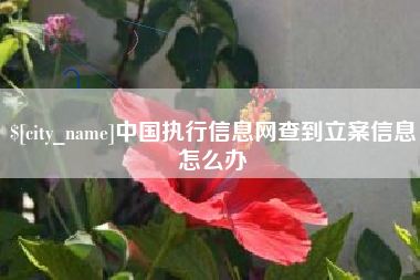 淄博中国执行信息网查到立案信息怎么办
