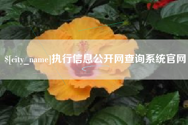 淄博执行信息公开网查询系统官网