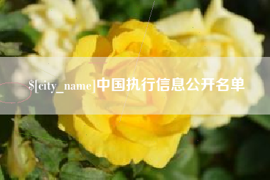 淄博中国执行信息公开名单